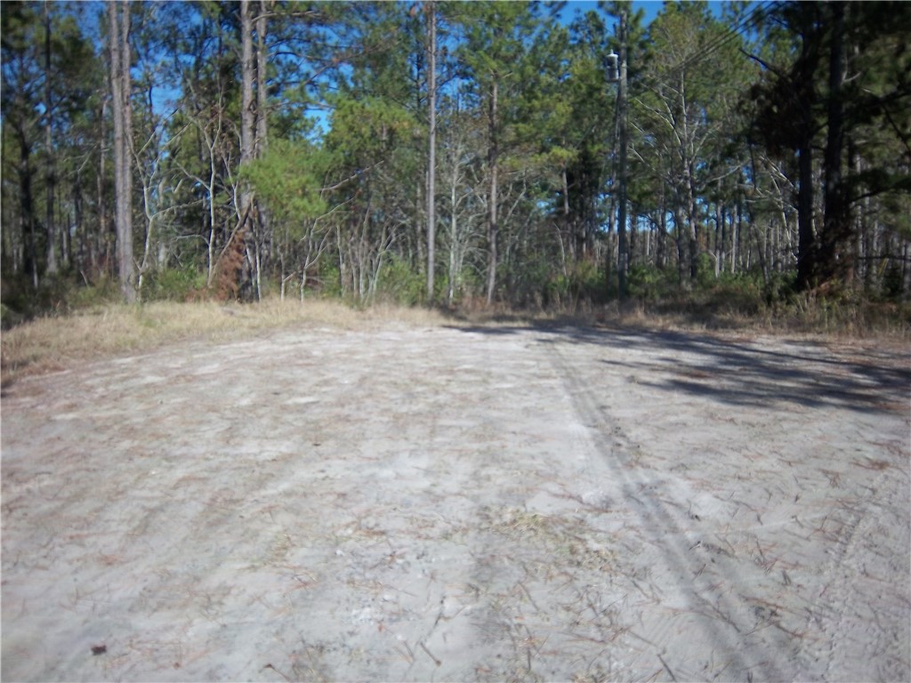 3176 Tie Island Road