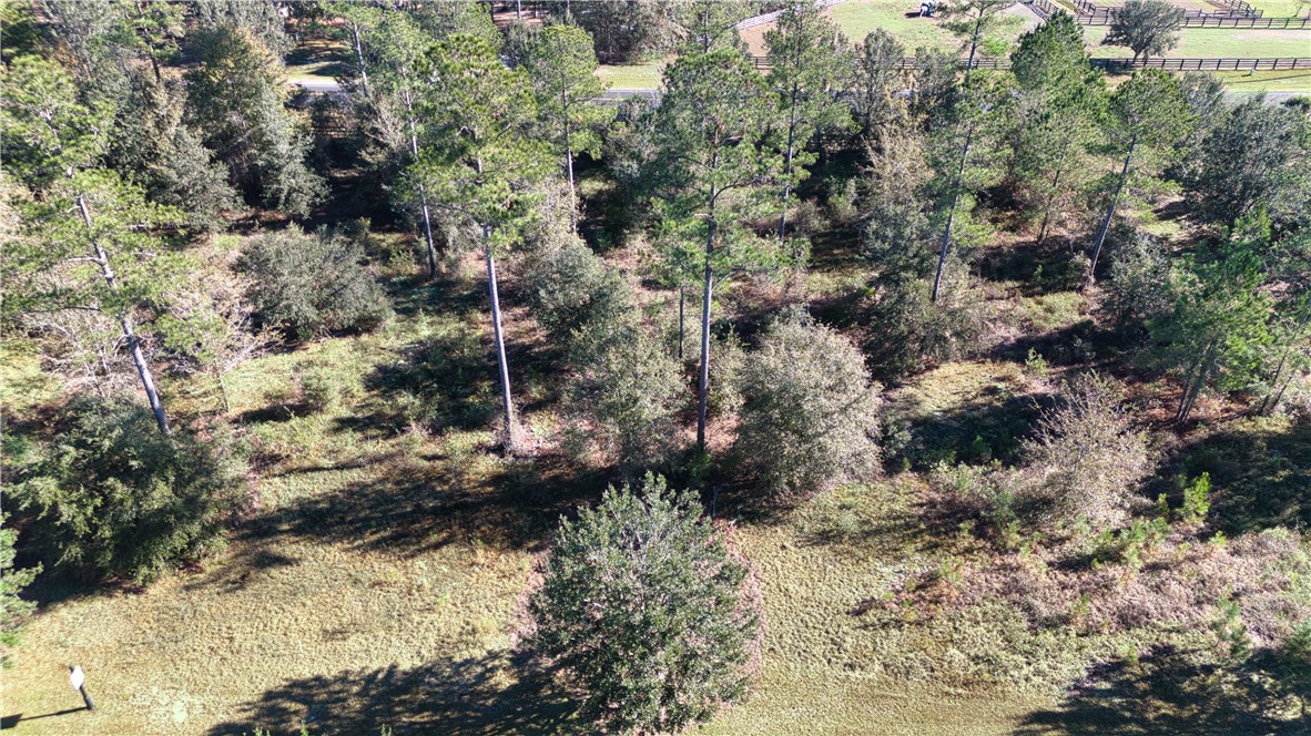 0 Bartram Loop