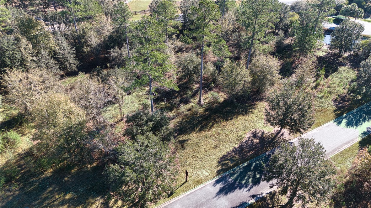 0 Bartram Loop