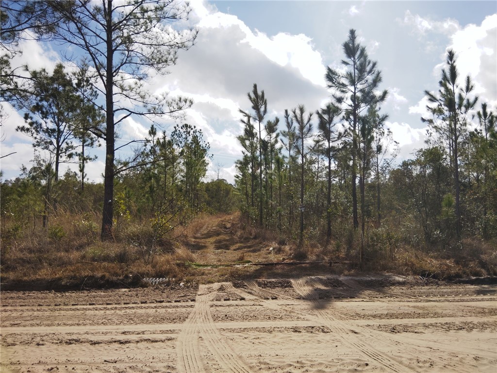 Lot 96 Picketts Mill Trail