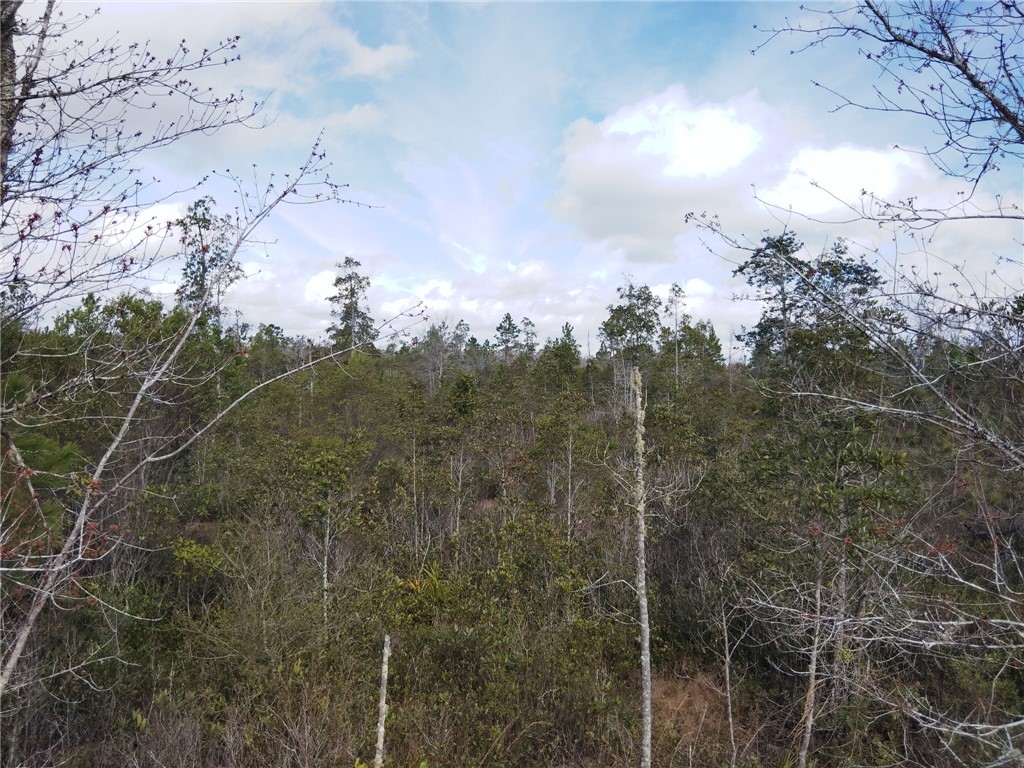 Lot 96 Picketts Mill Trail