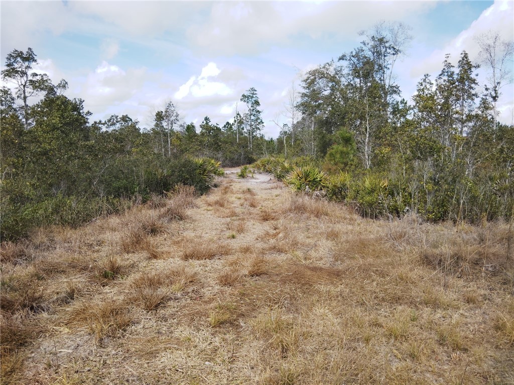 Lot 96 Picketts Mill Trail