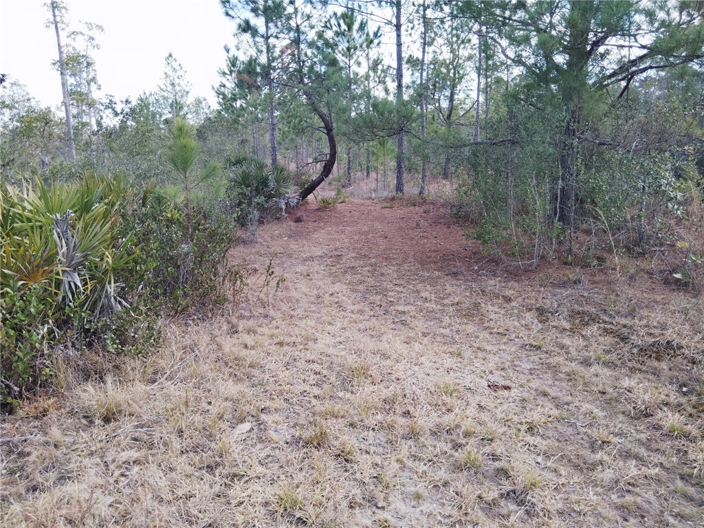 Lot 96 Picketts Mill Trail