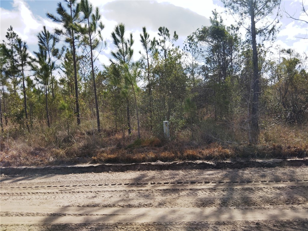 Lot 96 Picketts Mill Trail