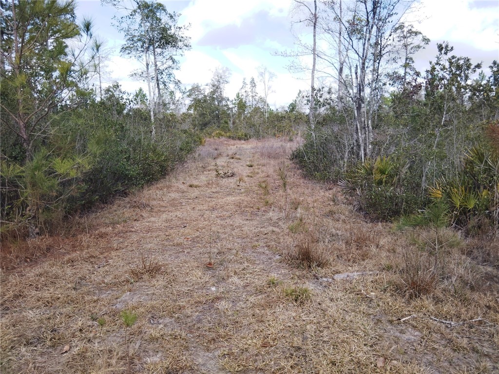 Lot 96 Picketts Mill Trail