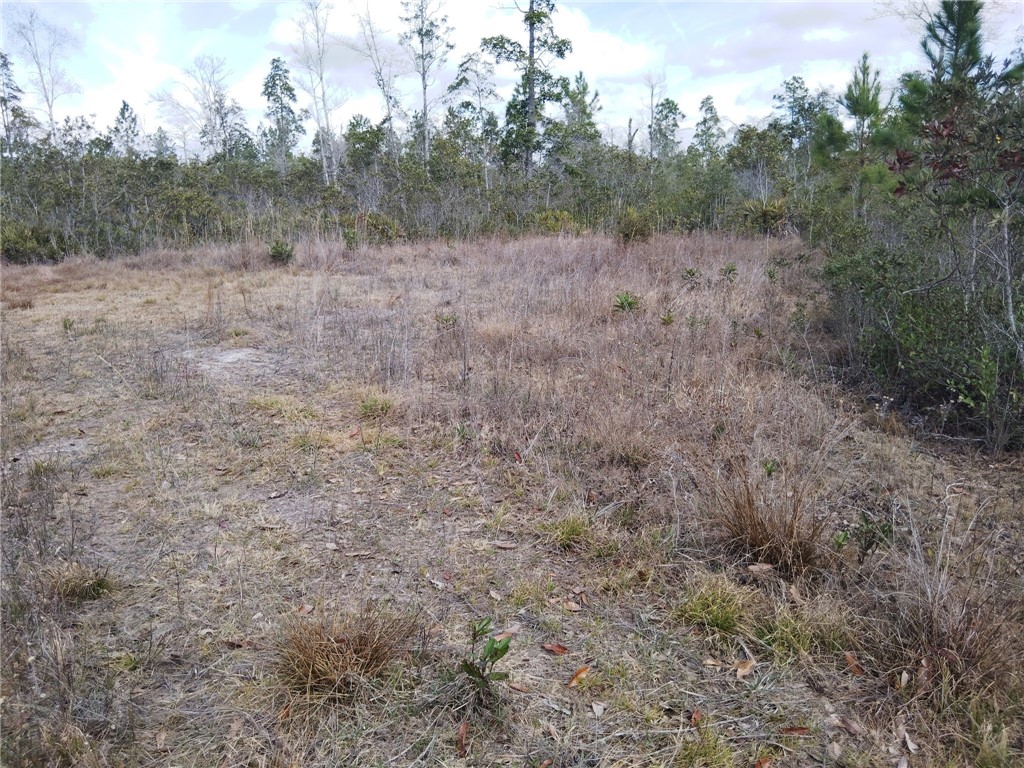Lot 97 Picketts Mill Trail