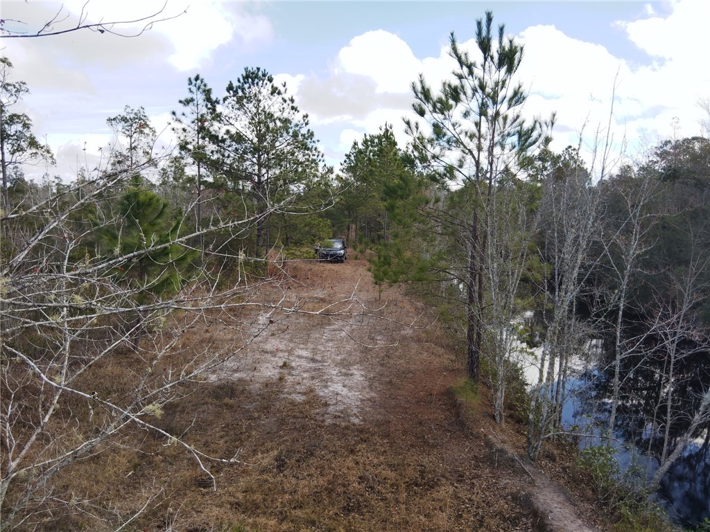 Lot 97 Picketts Mill Trail