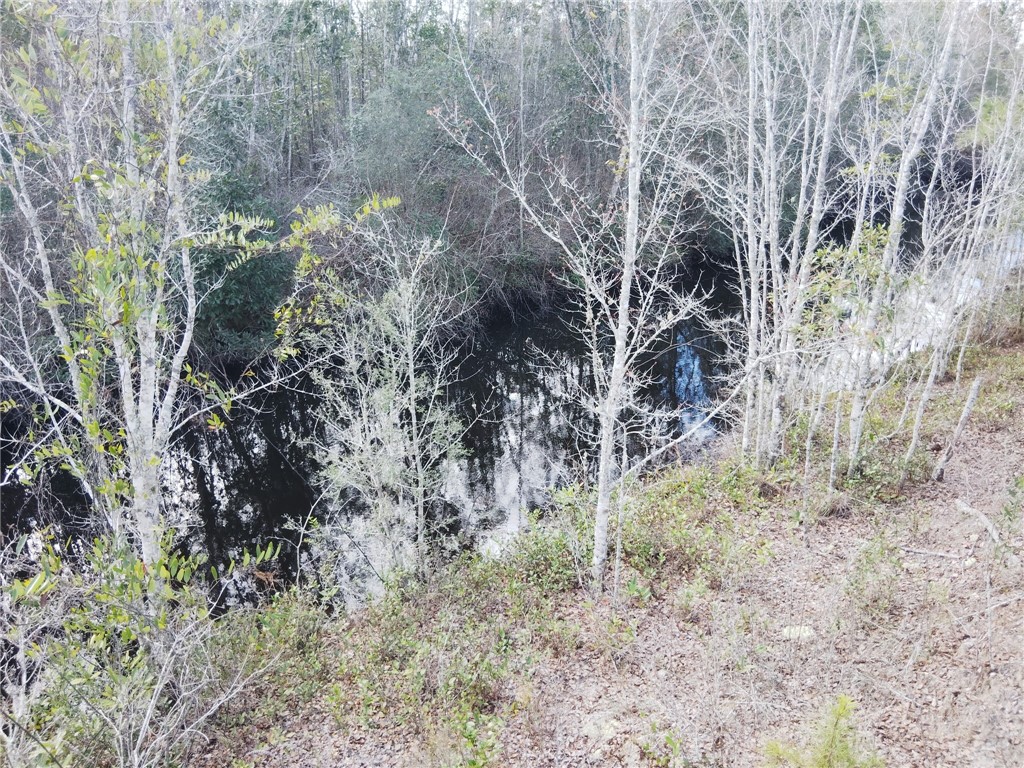 Lot 97 Picketts Mill Trail