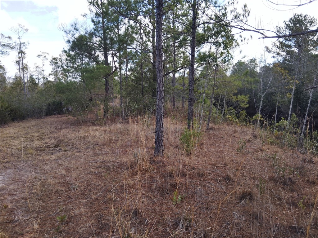 Lot 97 Picketts Mill Trail