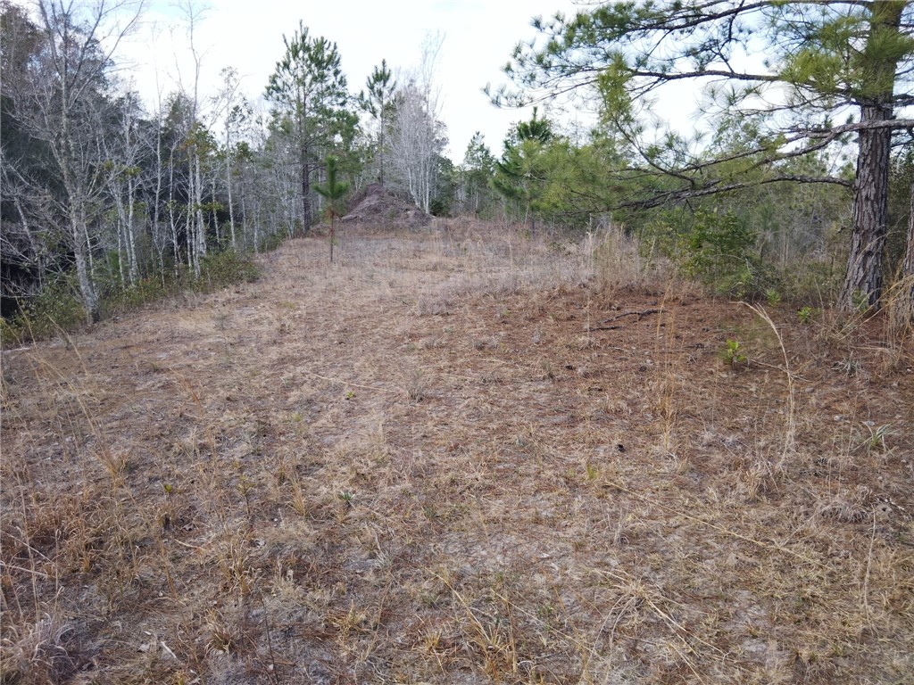 Lot 97 Picketts Mill Trail