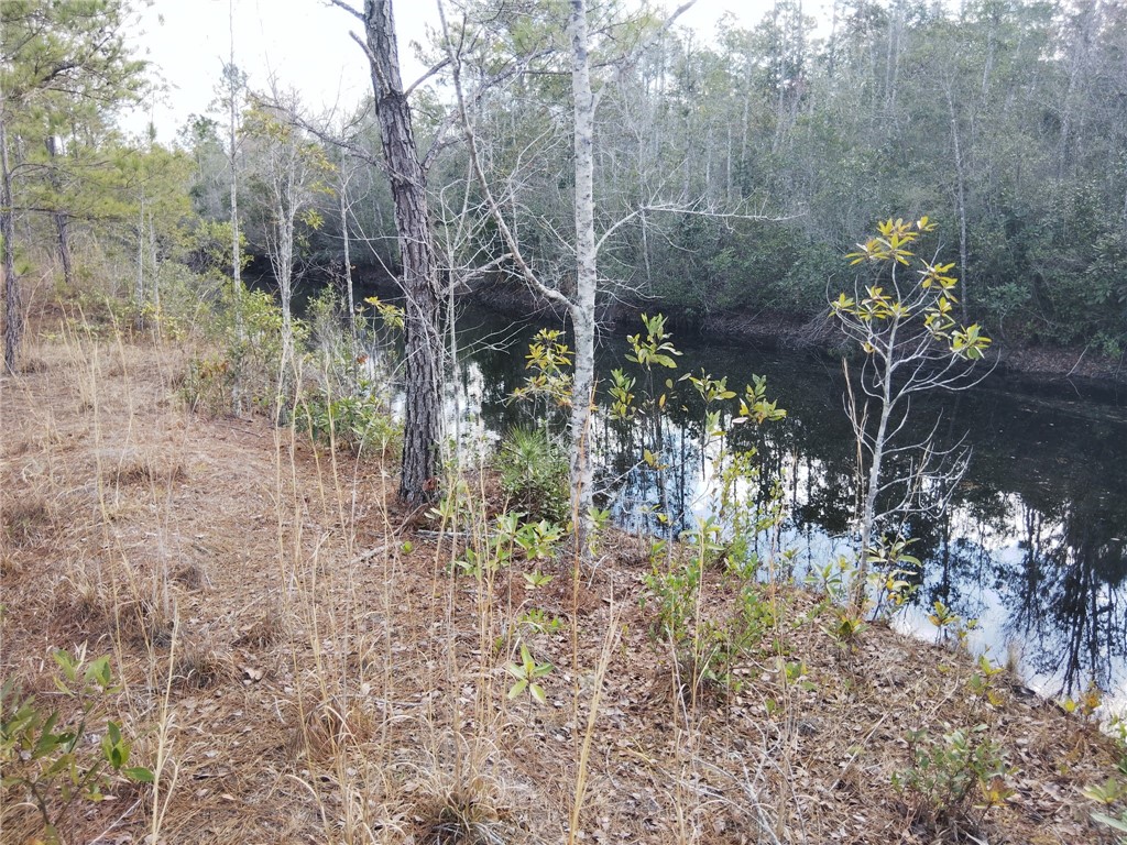 Lot 97 Picketts Mill Trail