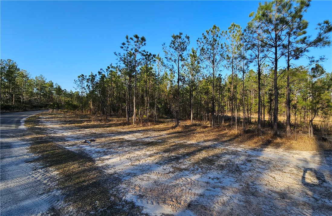 42 Satilla Plantation Drive