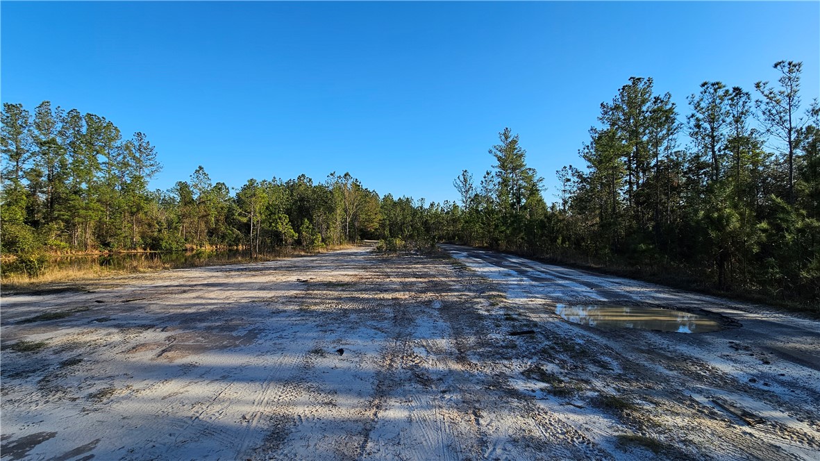 42 Satilla Plantation Drive