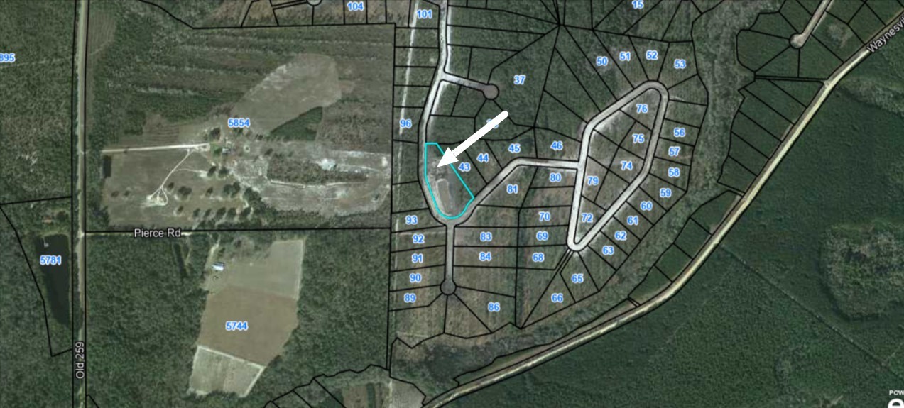 42 Satilla Plantation Drive