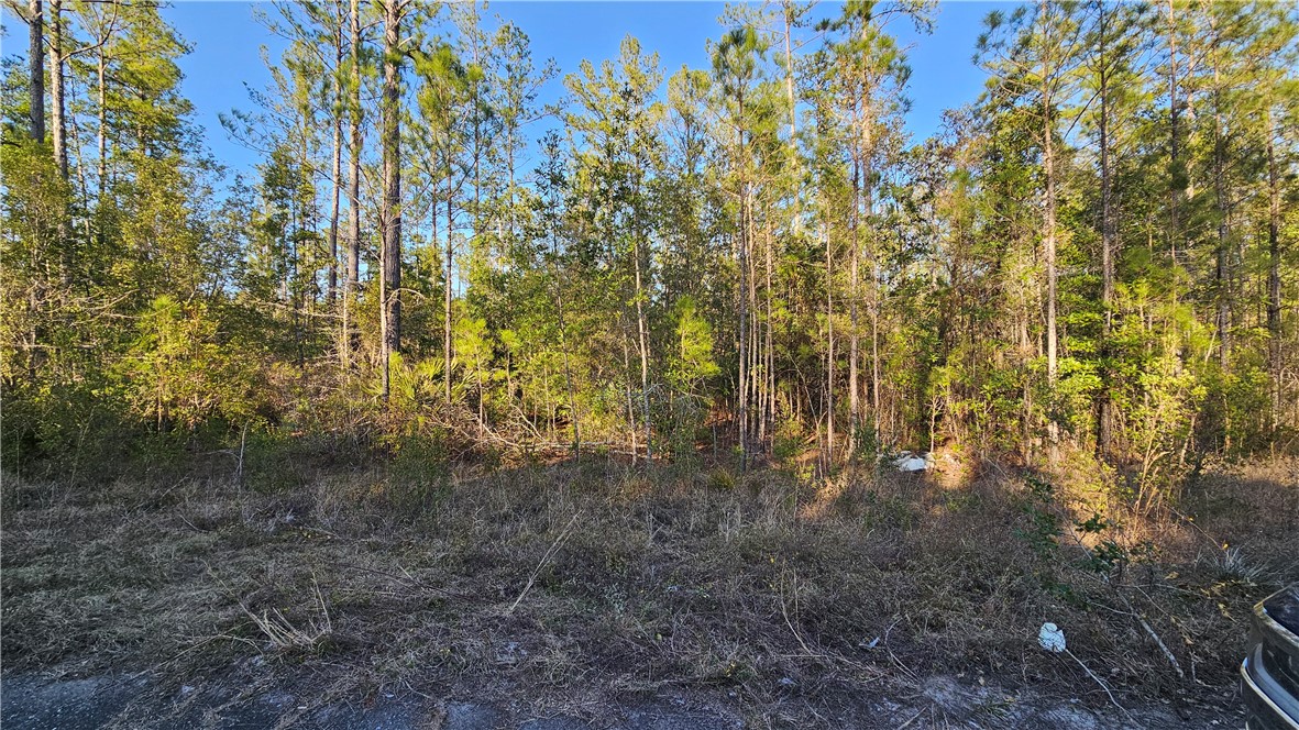 42 Satilla Plantation Drive
