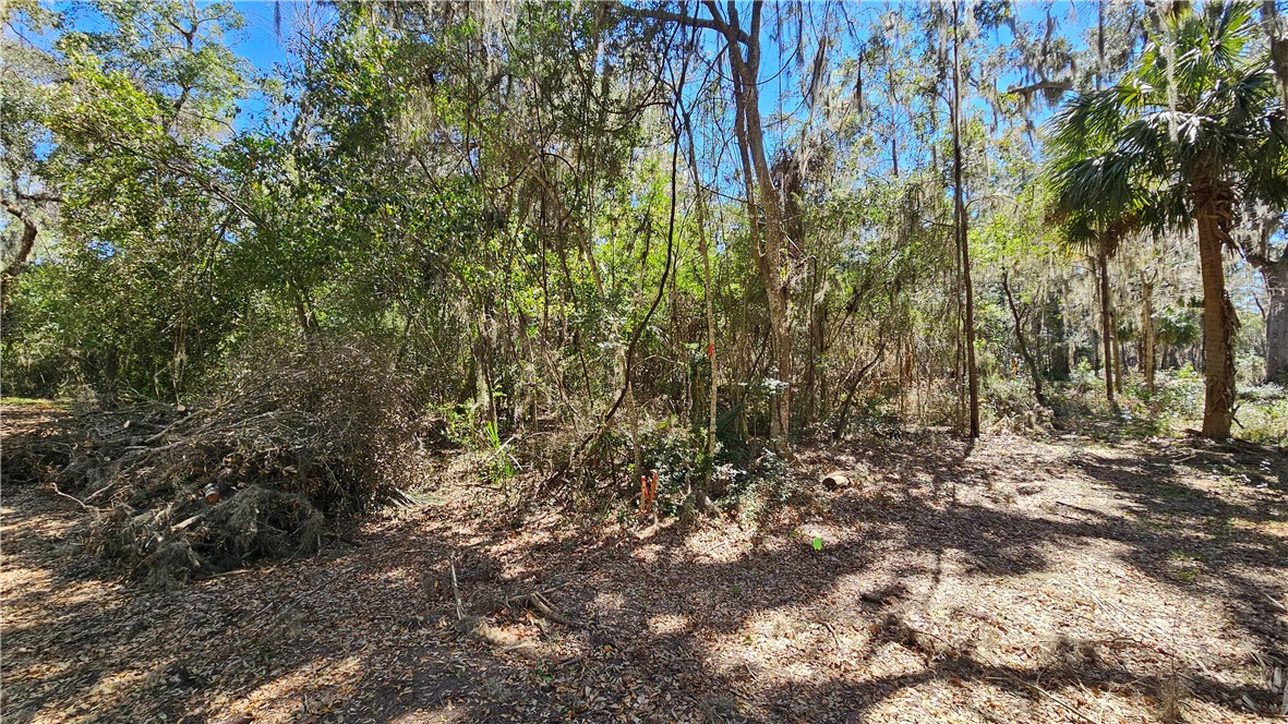240 Village Drive