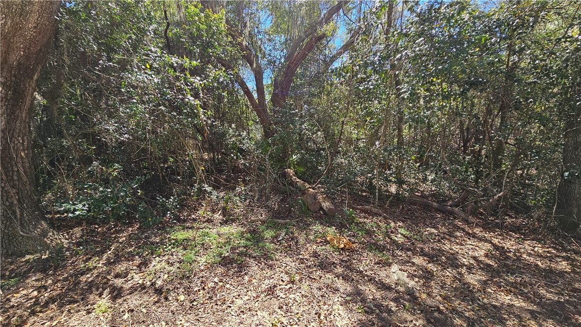 240 Village Drive