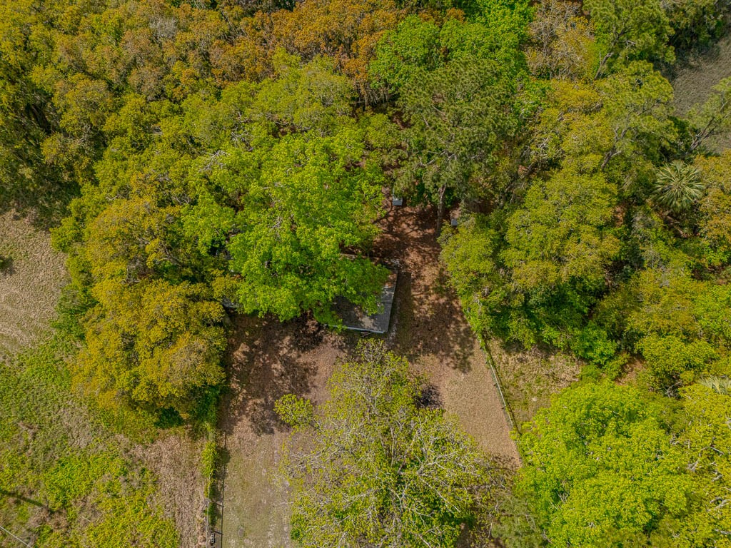 2146 Old Jesup Road