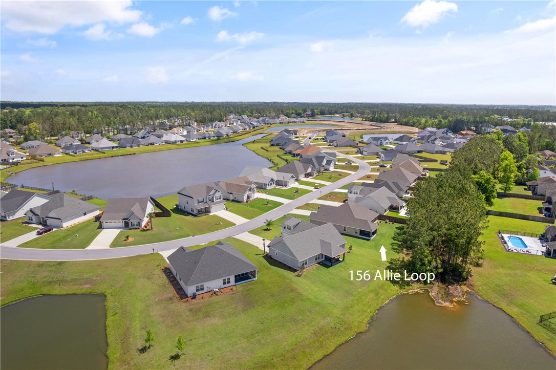 156 ALLIE Loop