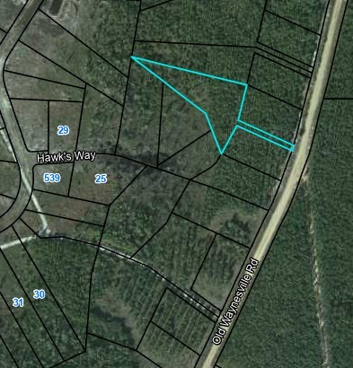 Lot 16 Old Road