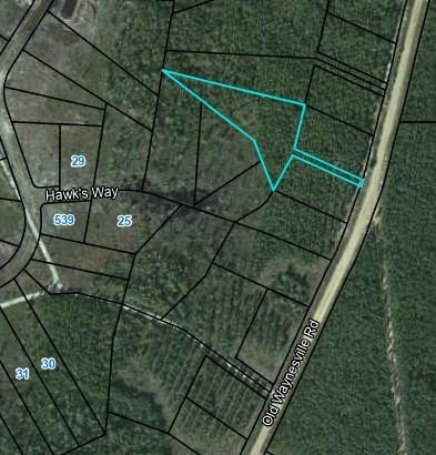 Lot 16 Old Road