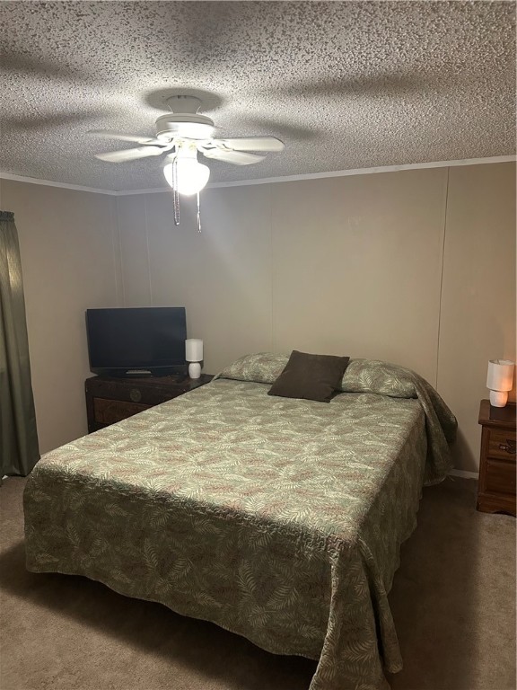 743 Sandy Loop