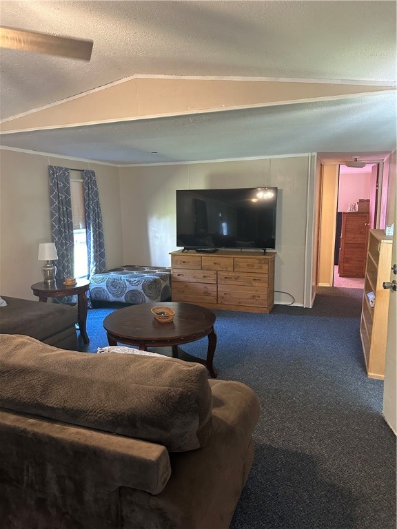 743 Sandy Loop