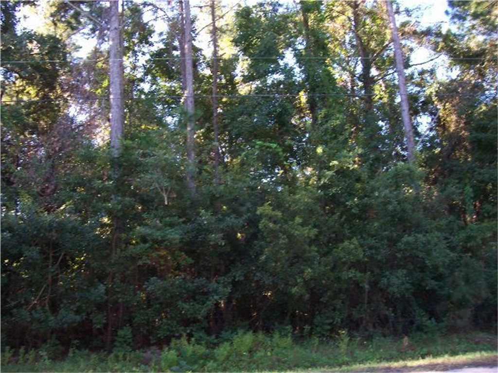 109 Midway Circle