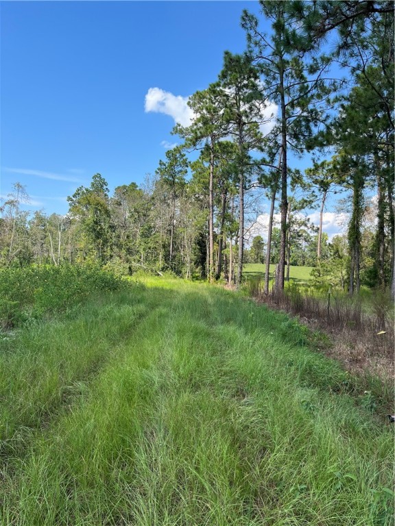 0 Hammond Powell Road