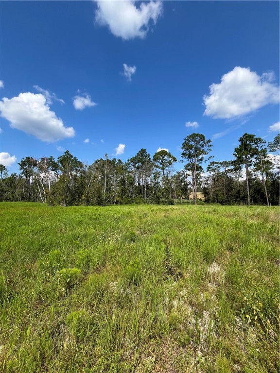 0 Hammond Powell Road