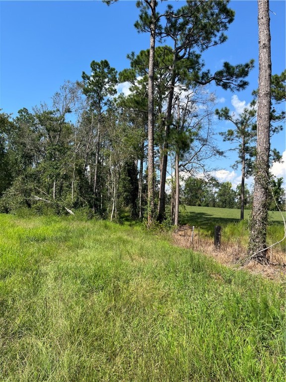 0 Hammond Powell Road