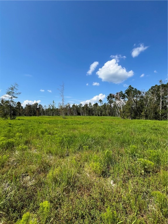 0 Hammond Powell Road