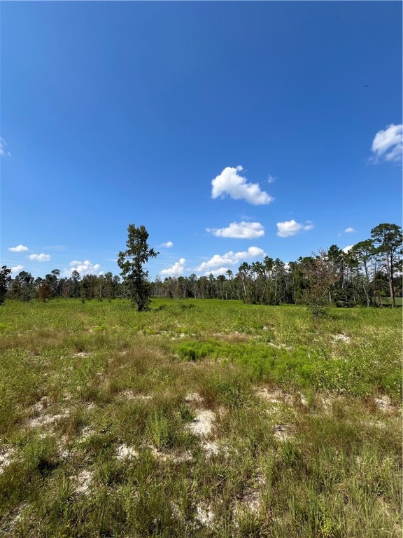 0 Hammond Powell Road