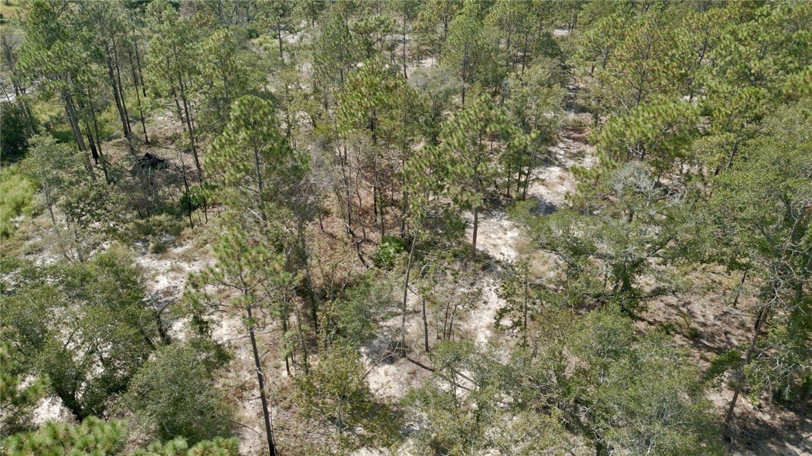 0 Hammond Powell Road