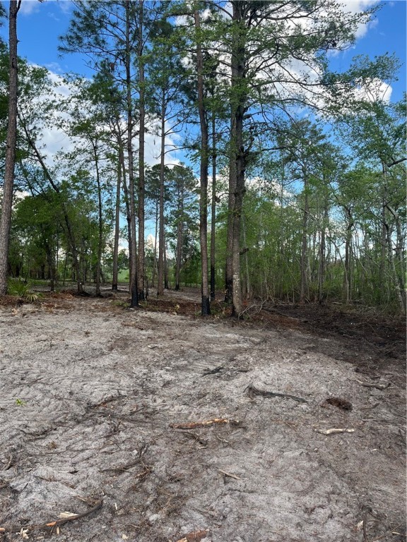 0 Hammond Powell Road