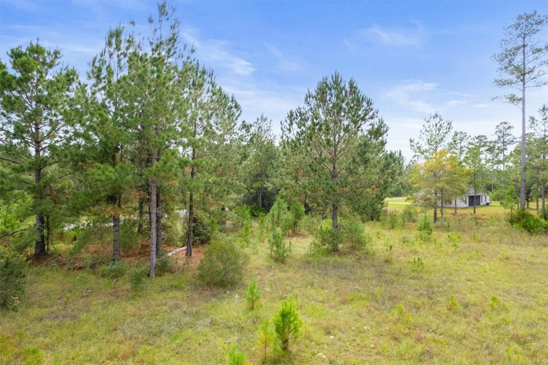 Lot 4 Big Horse Drive