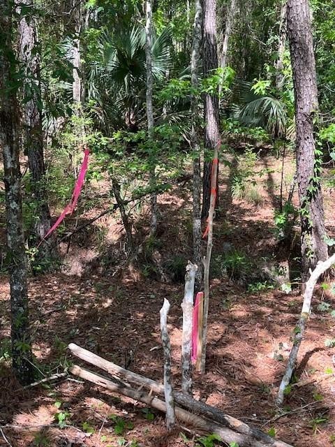 Lot 103 La Vento Lane