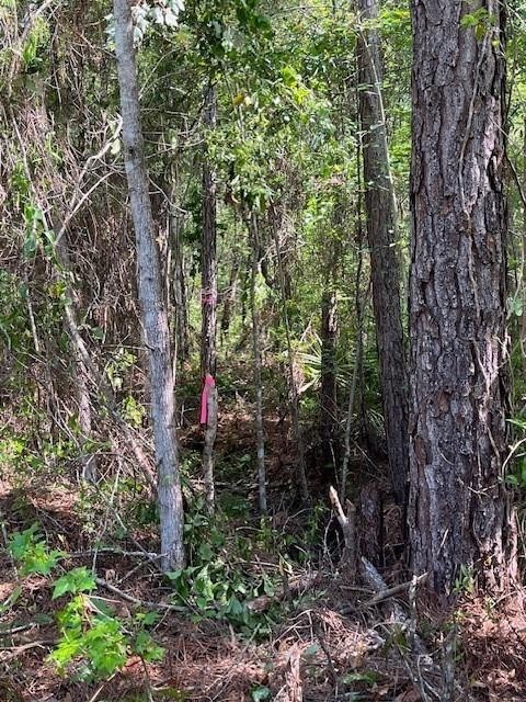 Lot 103 La Vento Lane