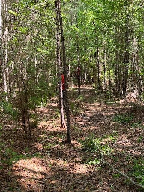 Lot 103 La Vento Lane