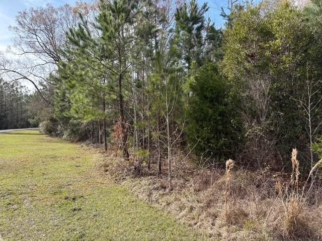 Lot 103 La Vento Lane