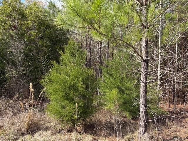 Lot 103 La Vento Lane