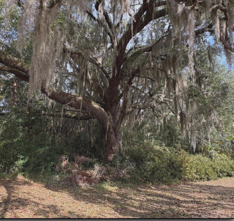 11817 HIGHWAY 99 Highway