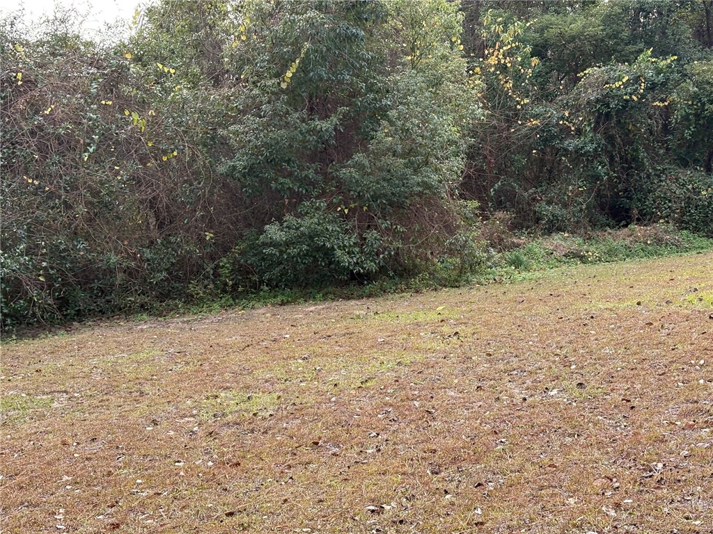 601 Fort King George Drive