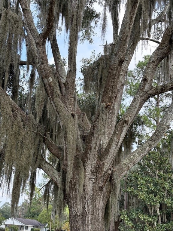 601 Fort King George Drive