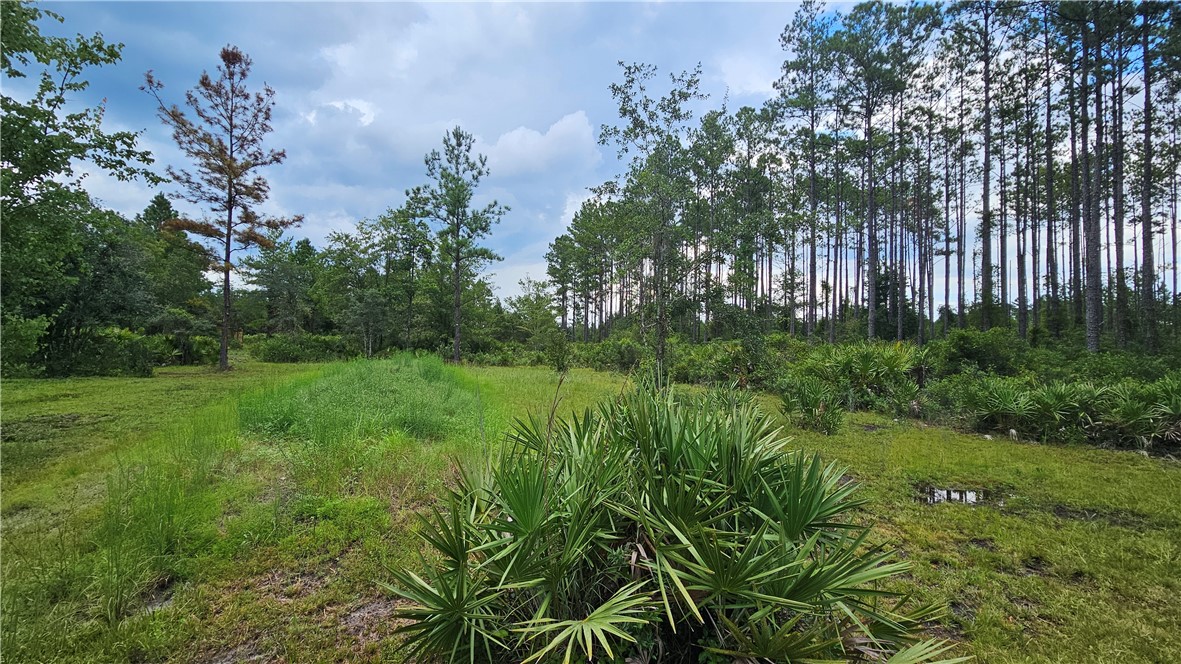 1705 Kings Bay Rd Road