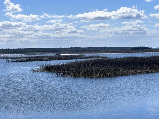 342 Brentwood Circle