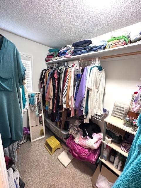 342 Brentwood Circle