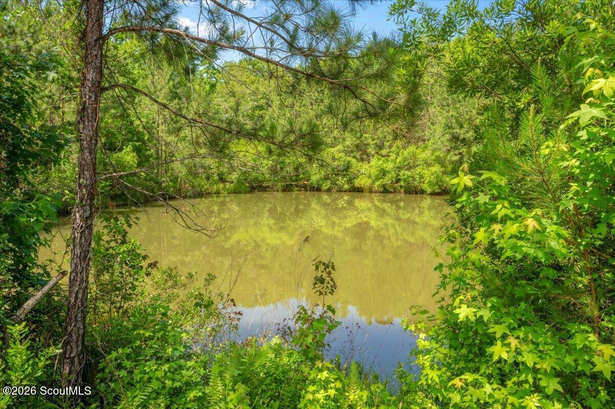 10050 Woodland Cove