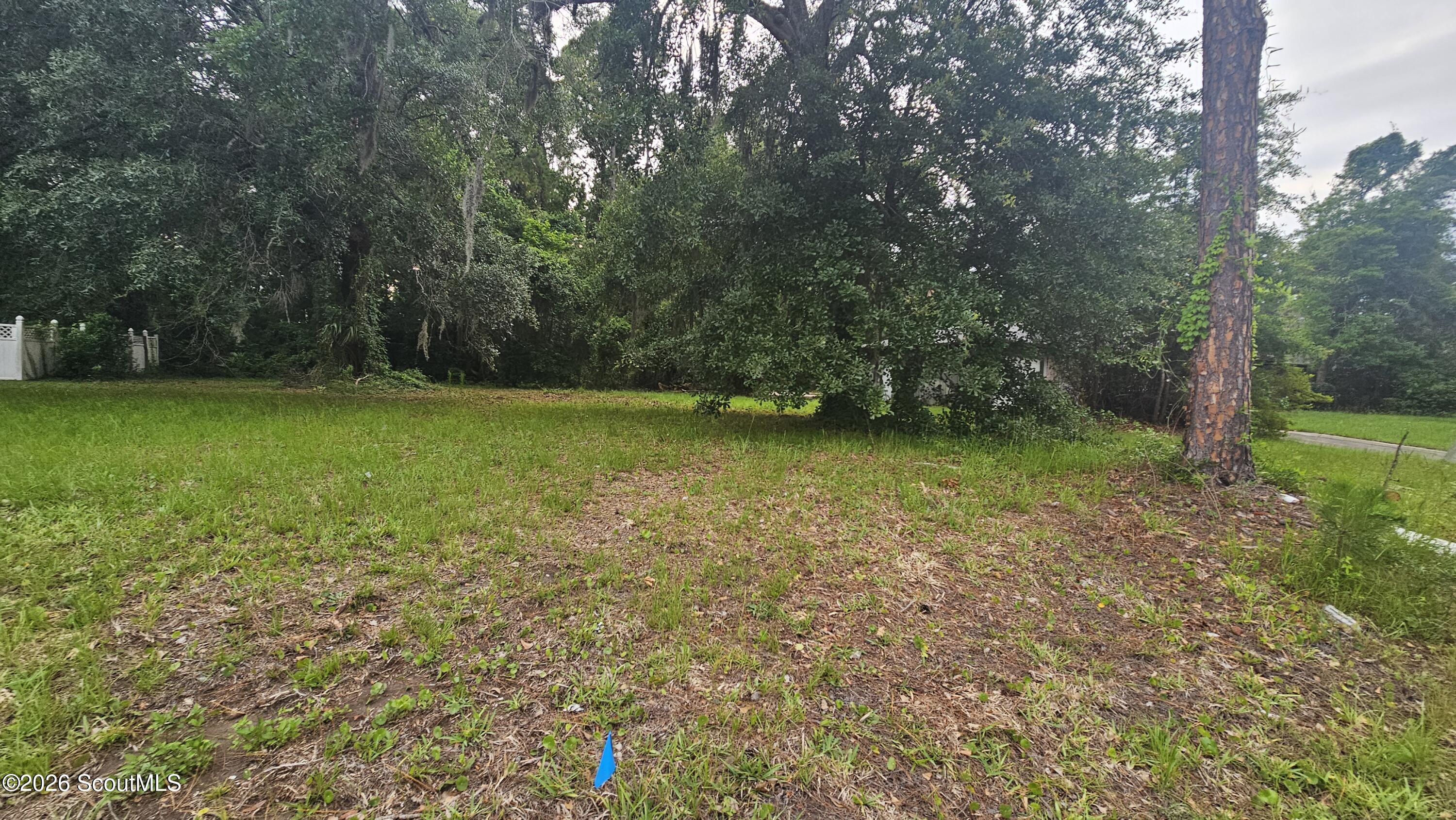75 Hornet Drive