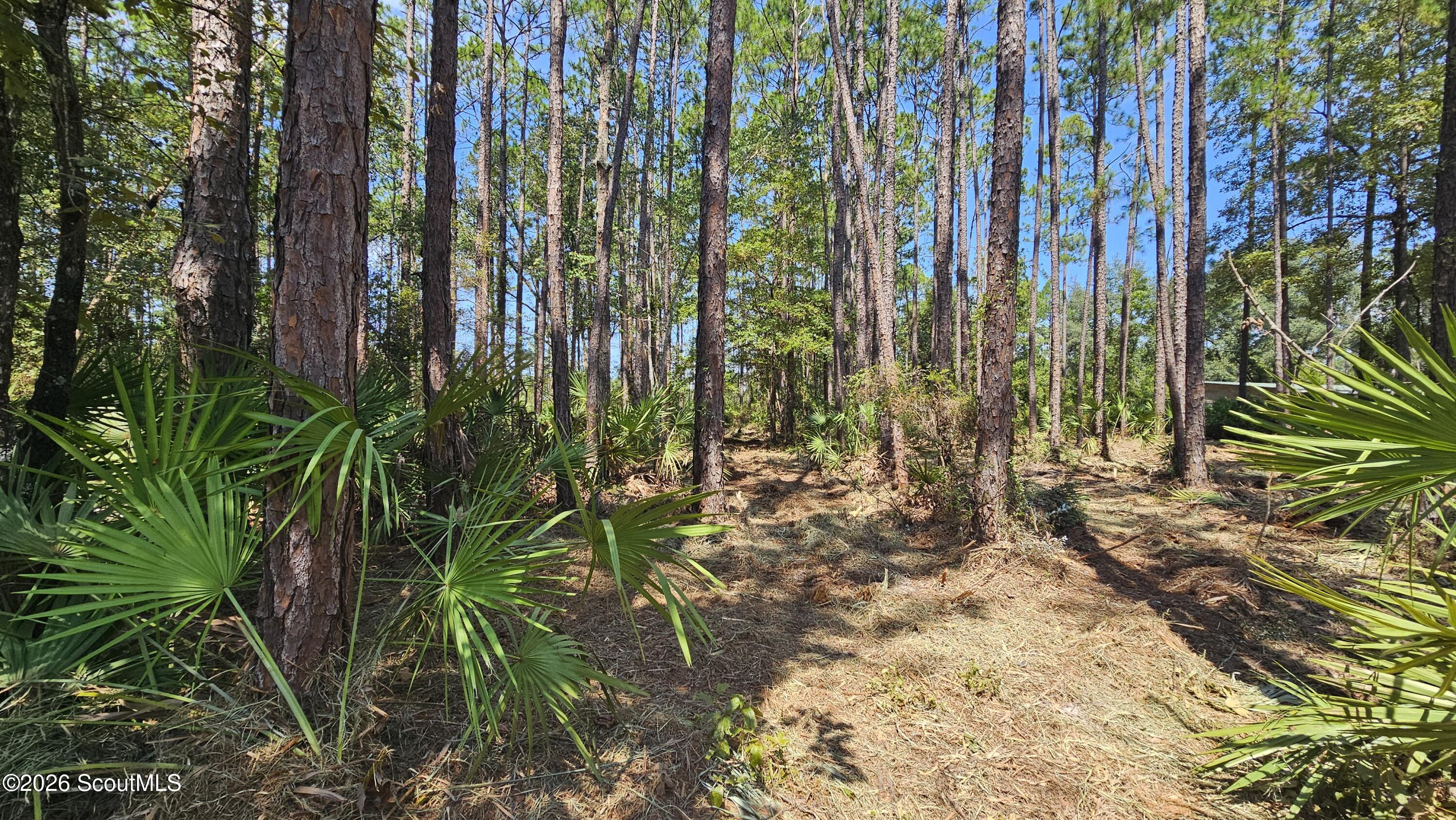 323 Baker Creek Road